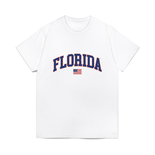 Florida - NCAA Baseball : niko janssens - USA Raglan Comfort Colors T-Shirt-0