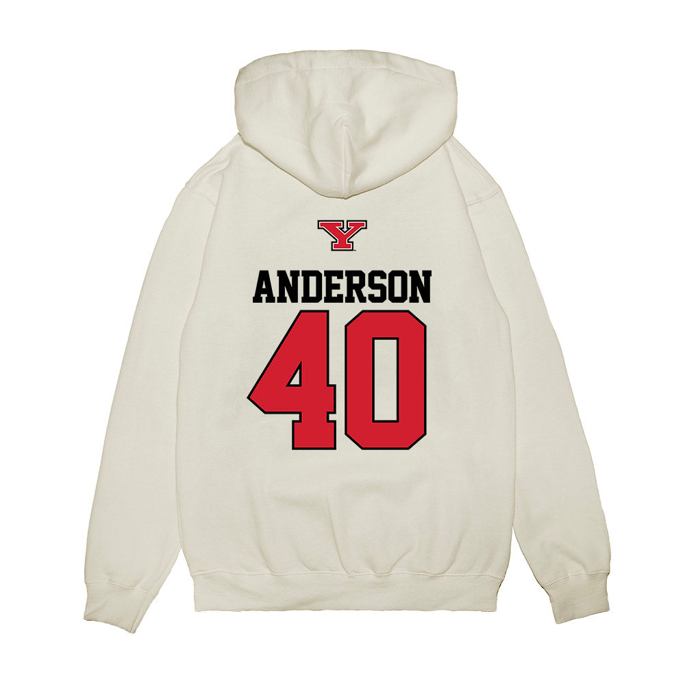 Youngstown State - NCAA Baseball : Brandin Anderson - USA Raglan Premium Hooded Sweatshirt-1