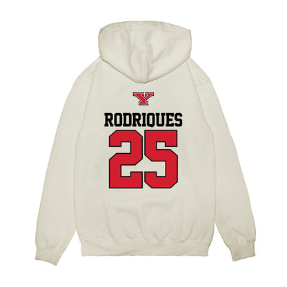 Youngstown State - NCAA Baseball : Michael Rodriques - USA Raglan Premium Hooded Sweatshirt-1