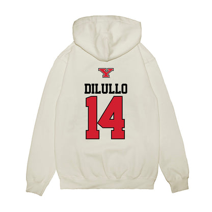 Youngstown State - NCAA Baseball : Ryan DiLullo - USA Raglan Premium Hooded Sweatshirt-1