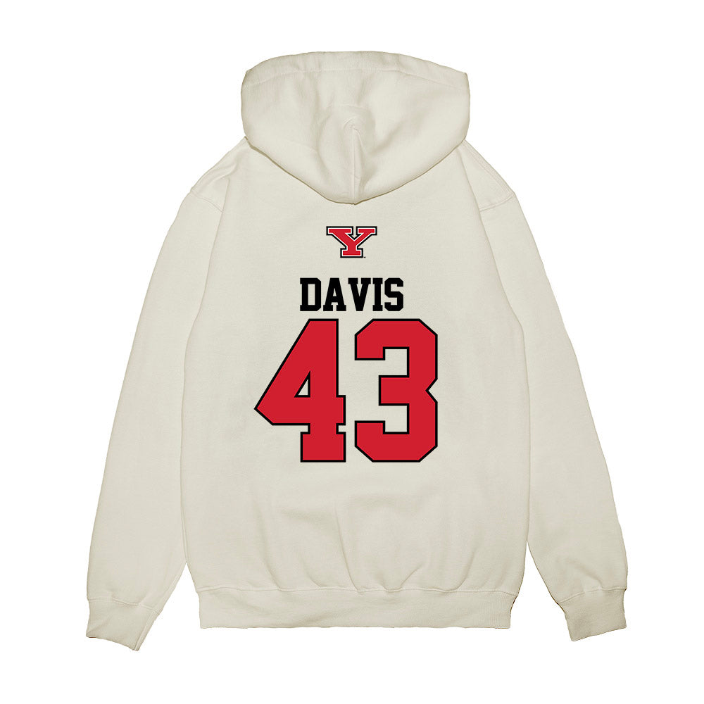 Youngstown State - NCAA Baseball : Braedon Davis - USA Raglan Premium Hooded Sweatshirt-1
