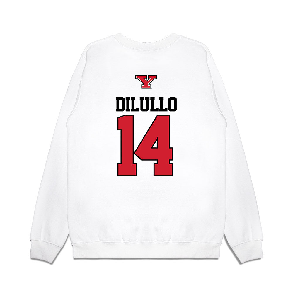 Youngstown State - NCAA Baseball : Ryan DiLullo - USA Raglan Premium Crewneck Sweatshirt-1