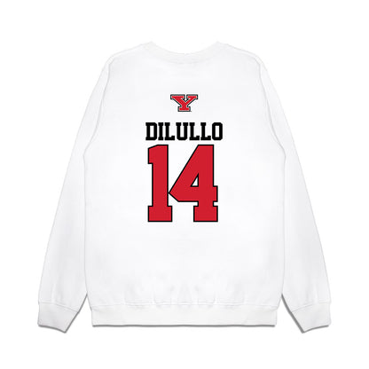 Youngstown State - NCAA Baseball : Ryan DiLullo - USA Raglan Premium Crewneck Sweatshirt-1