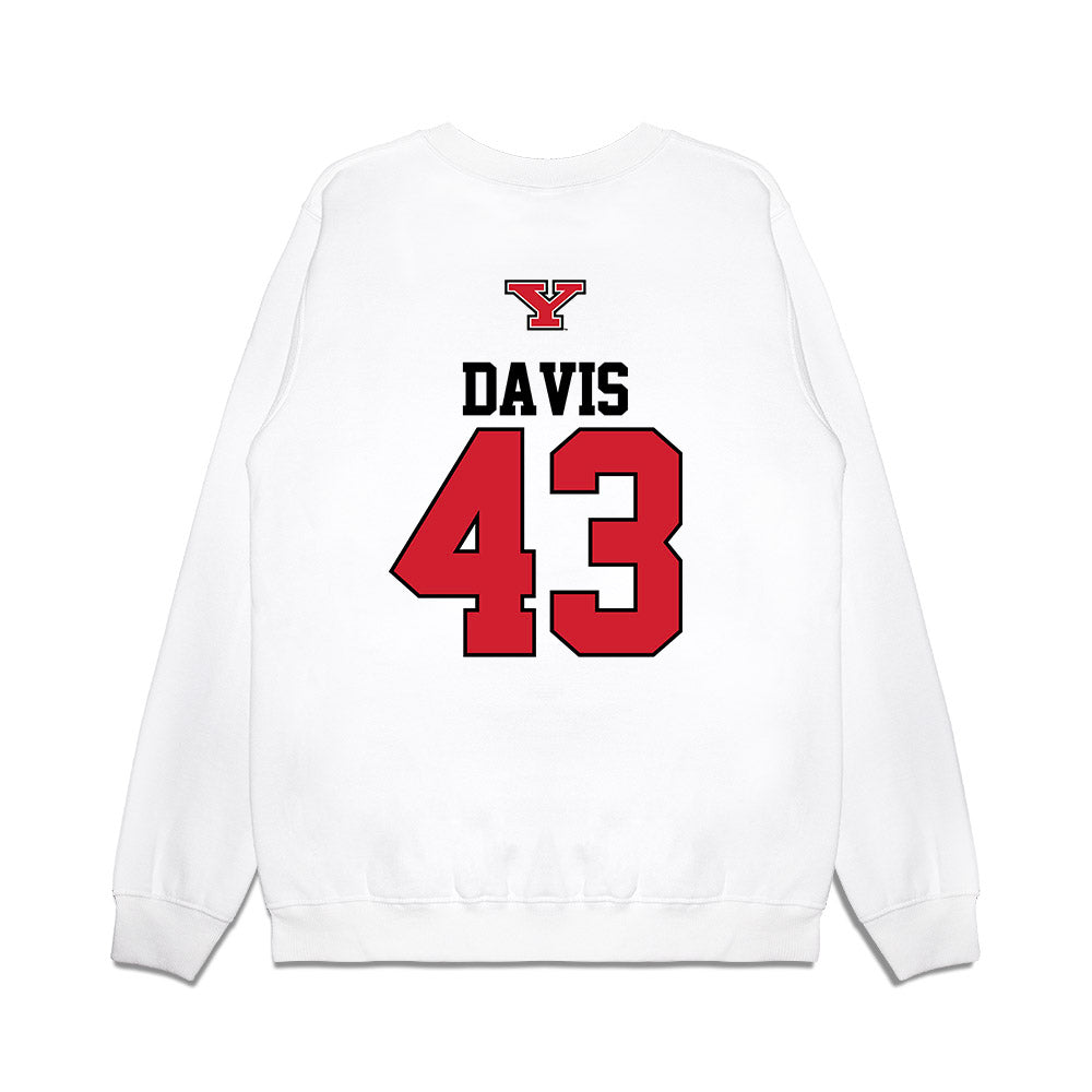 Youngstown State - NCAA Baseball : Braedon Davis - USA Raglan Premium Crewneck Sweatshirt-1