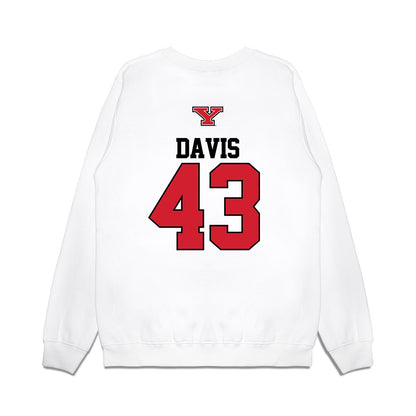 Youngstown State - NCAA Baseball : Braedon Davis - USA Raglan Premium Crewneck Sweatshirt-1