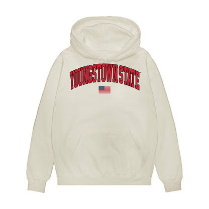 Youngstown State - NCAA Baseball : Brandon Mikos - USA Raglan Premium Hooded Sweatshirt-0