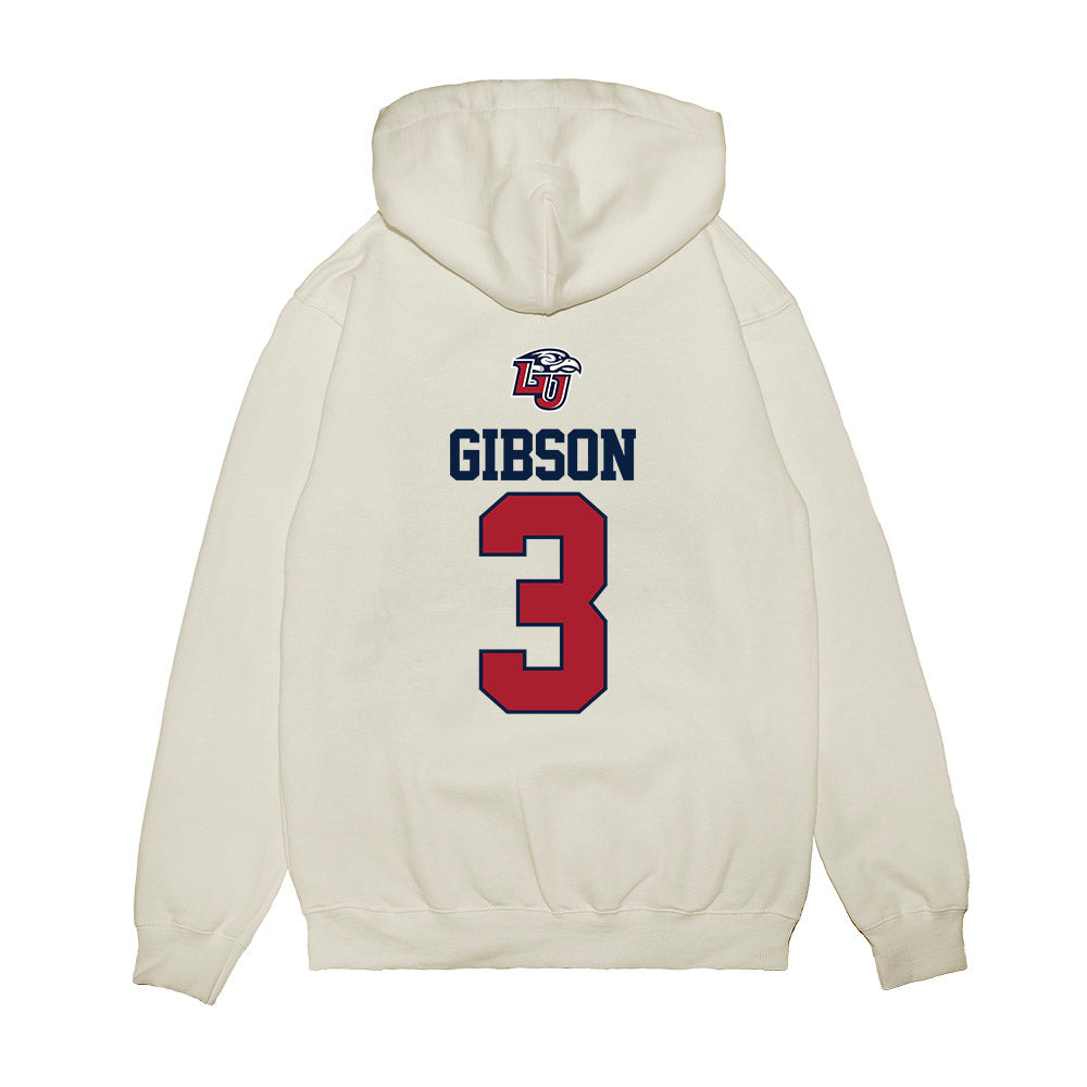 Liberty - NCAA Baseball : Riley Gibson - USA Raglan Premium Hooded Sweatshirt-1