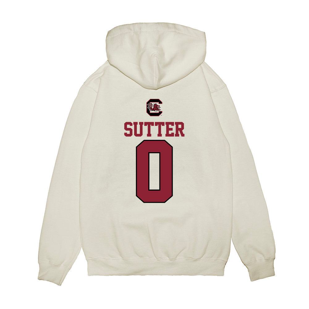 South Carolina - NCAA Baseball : Logan Sutter - USA Premium Hooded Sweatshirt-1