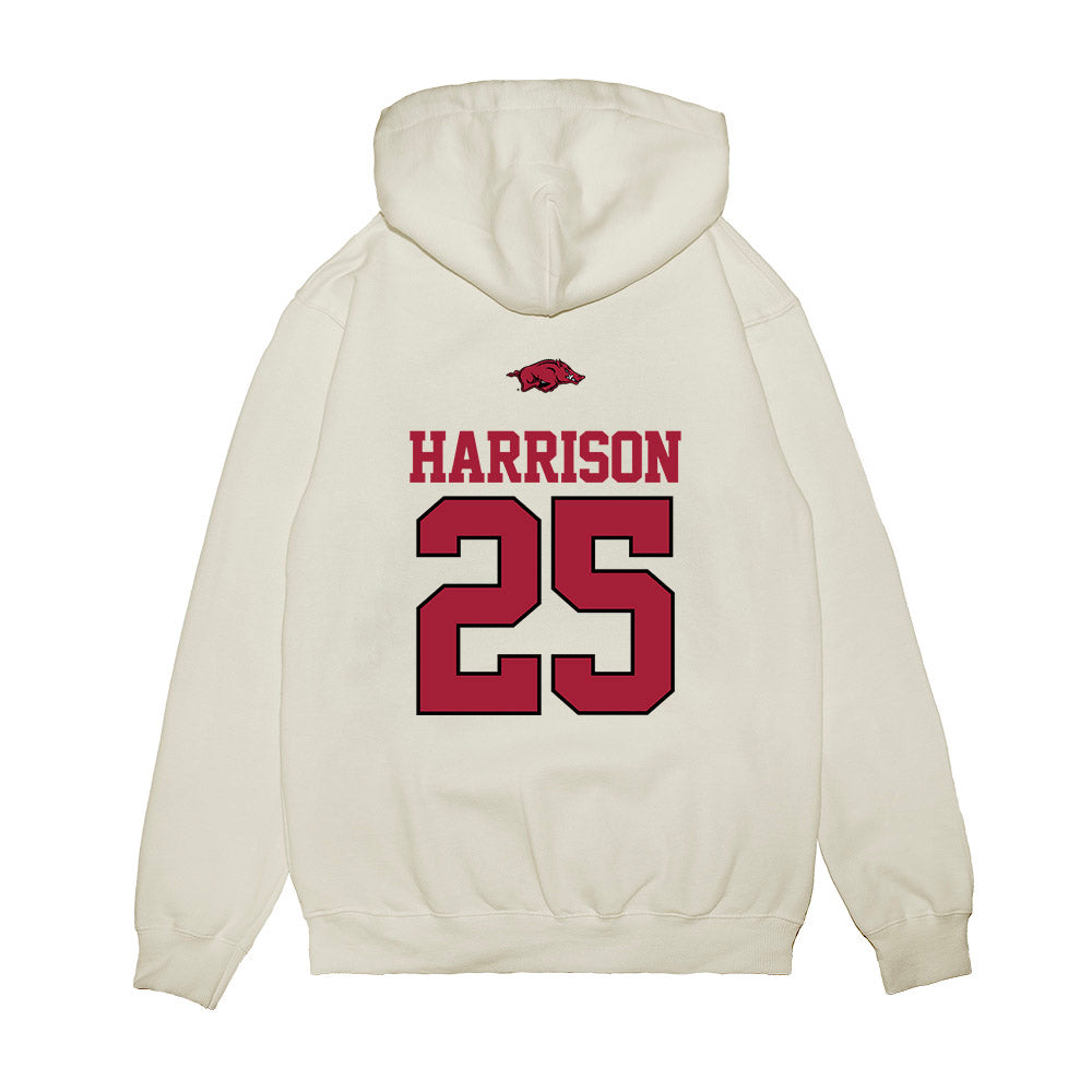 Arkansas - NCAA Softball : Cameryn Harrison - USA Premium Hooded Sweatshirt-1