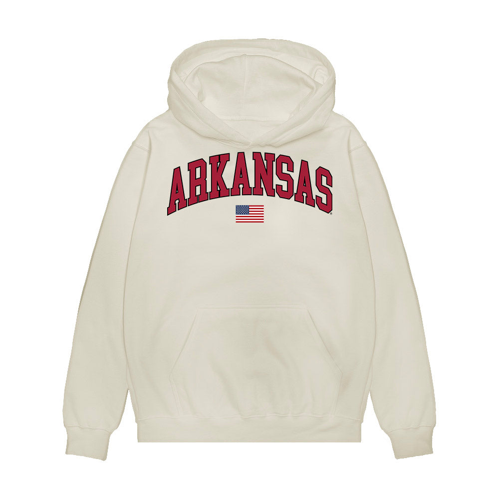 Arkansas - NCAA Softball : Jayden Wells - USA Premium Hooded Sweatshirt-0