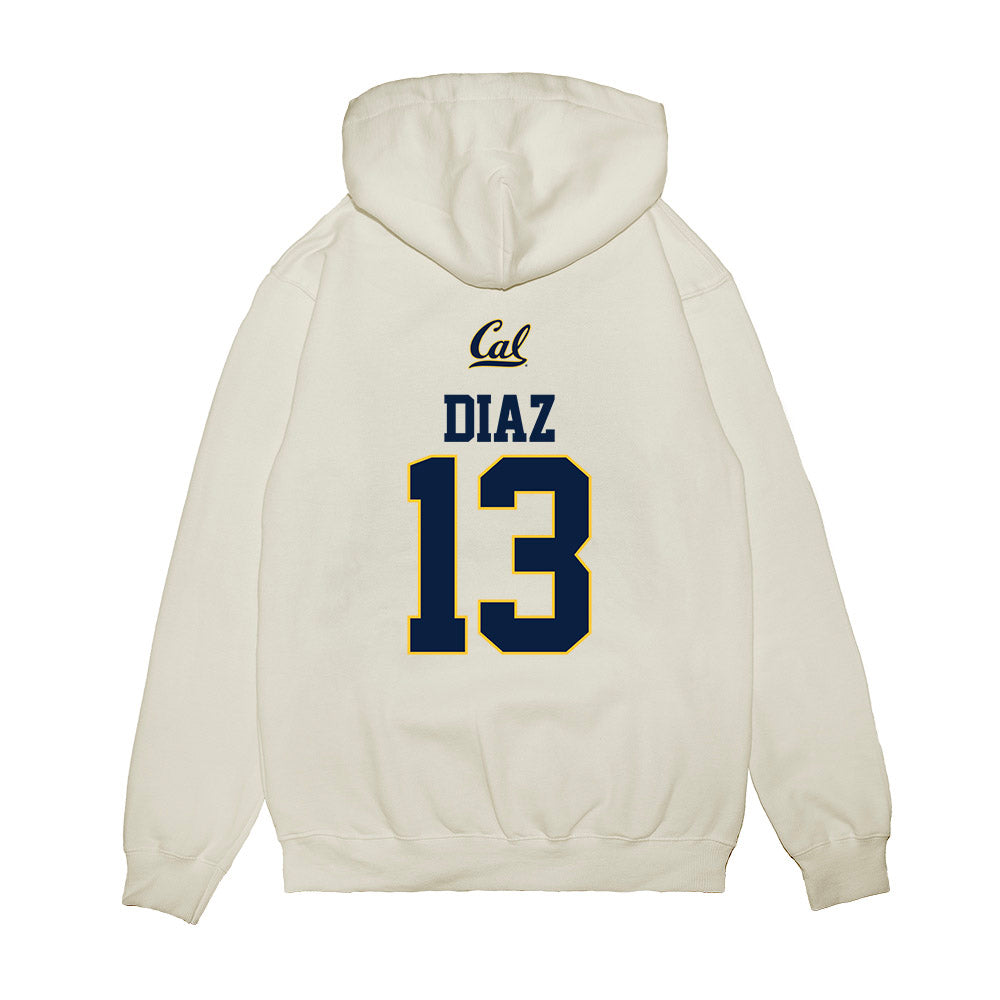 UC Berkeley - NCAA Softball : Jade Diaz - Premium Hooded Sweatshirt-1