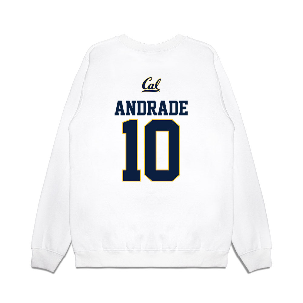 UC Berkeley - NCAA Softball : Harmony Andrade - Premium Crewneck Sweatshirt-1