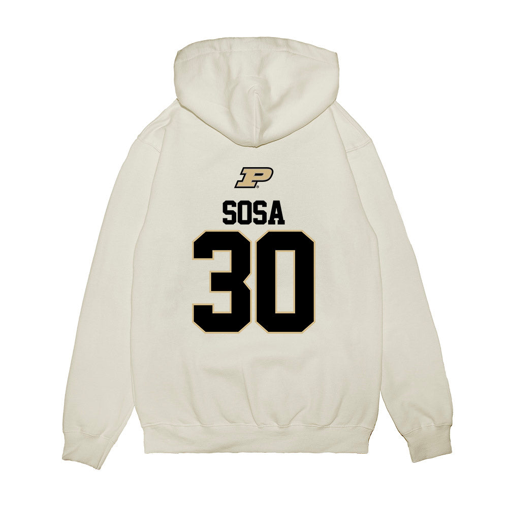 Purdue - NCAA Softball : Gabriela Sosa - USA Premium Hooded Sweatshirt-1