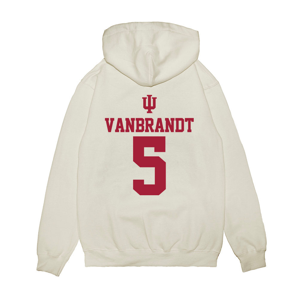 Indiana - NCAA Softball : Aly VanBrandt - USA Premium Hooded Sweatshirt-1