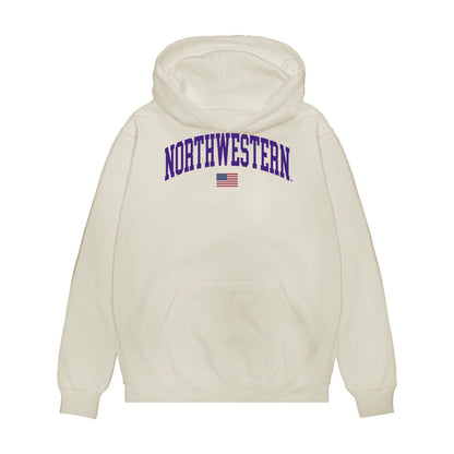 Northwestern - NCAA Softball : Kaylie Avvisato - USA Premium Hooded Sweatshirt-0