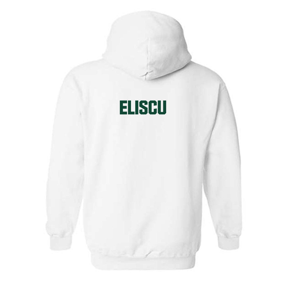 Cal Poly - NCAA Men's Tennis : Aaron Eliscu - Classic Shersey Hooded Sweatshirt-1