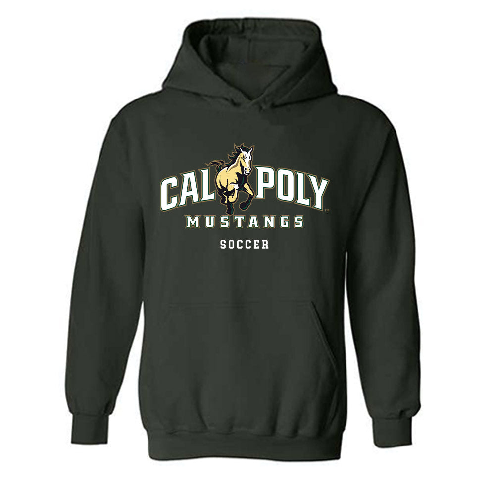 Cal Poly - NCAA Men's Soccer : Nicky Mccune - Classic Shersey Hooded Sweatshirt-0