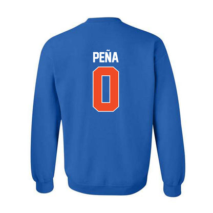 Florida - NCAA Women's Soccer : Paloma Peña - Sports Mom Crewneck Sweatshirt-1