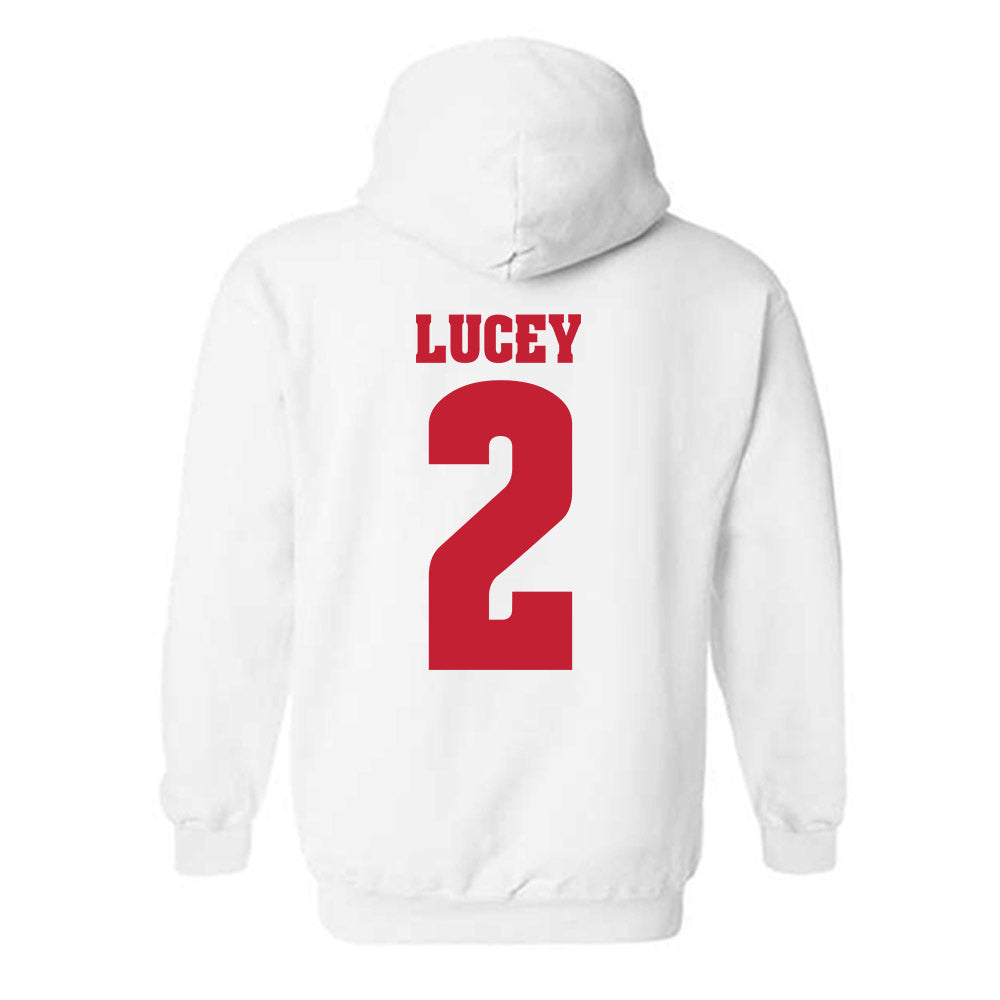 Wisconsin - NCAA Softball : Danielle Lucey - Classic Shersey Hooded Sweatshirt-1