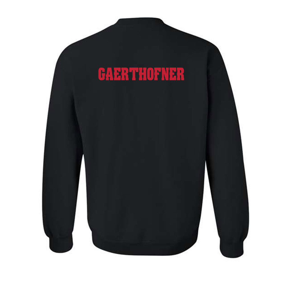 Wisconsin - NCAA Men's Swimming & Diving : Drew Gaerthofner - Classic Shersey Crewneck Sweatshirt-1