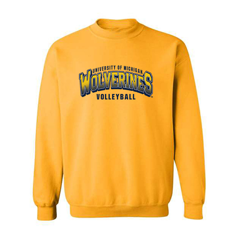 Michigan - NCAA Women's Volleyball : Sydney Schnichels - Classic Shersey Crewneck Sweatshirt-0