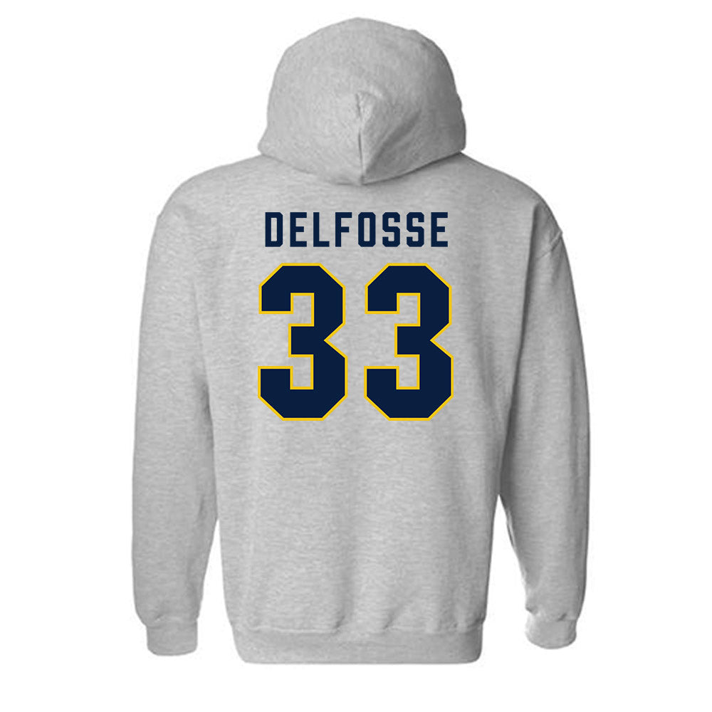 Michigan - NCAA Women's Basketball : Te'Yala Delfosse - Classic Shersey Hooded Sweatshirt-1