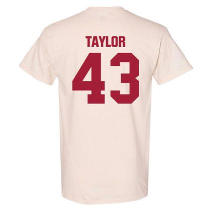 Indiana - NCAA Football : Bryce Taylor - T-Shirt-1