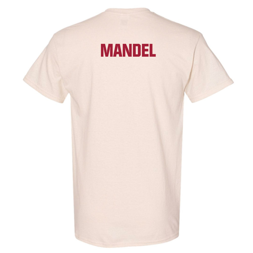 Indiana - NCAA Women's Rowing : Daniella Mandel - T-Shirt-1