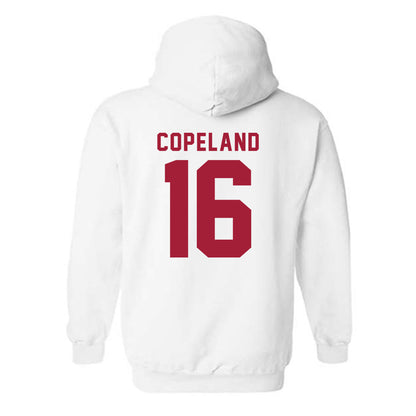 Indiana - NCAA Softball : Brianna Copeland - Replica Shersey Hooded Sweatshirt-1