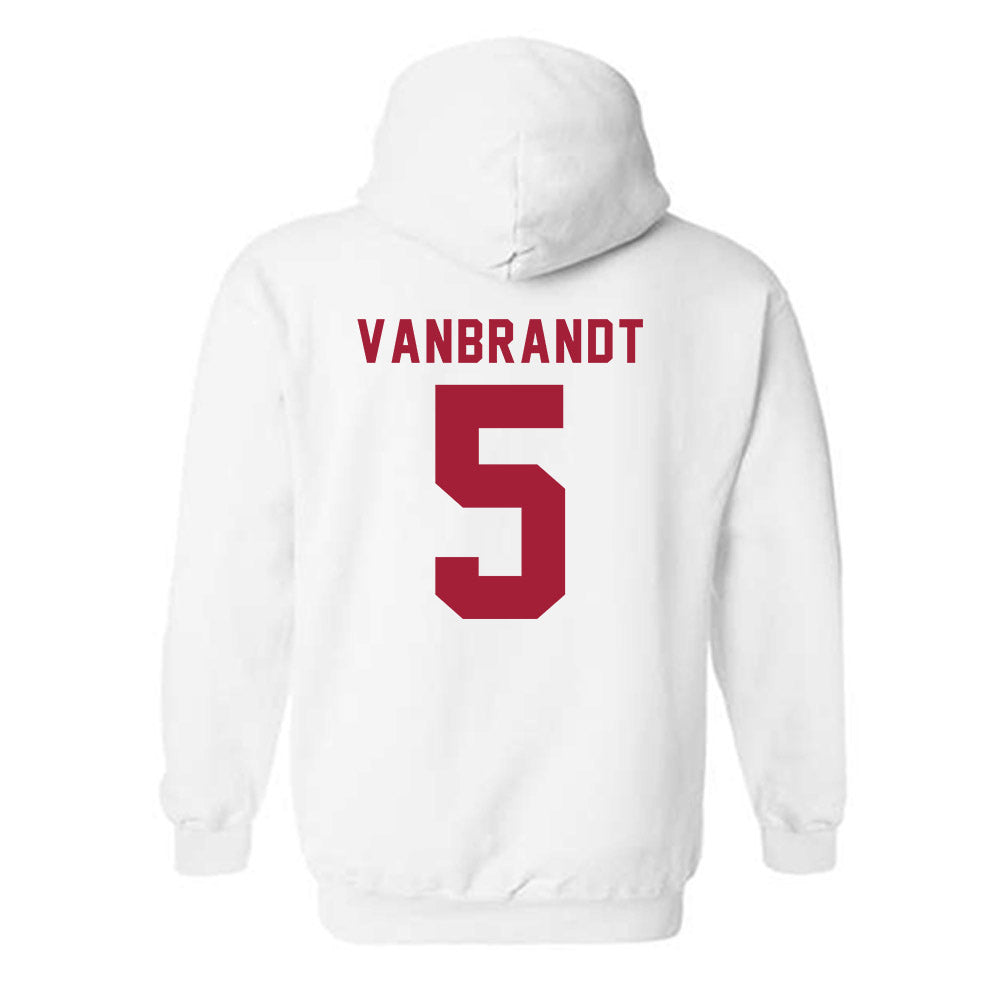 Indiana - NCAA Softball : Aly VanBrandt - Replica Shersey Hooded Sweatshirt-1