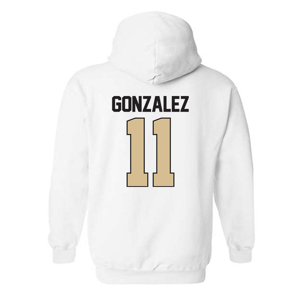 PFW - NCAA Men's Volleyball : Jean Paul Gonzalez - Classic Shersey Hooded Sweatshirt-1