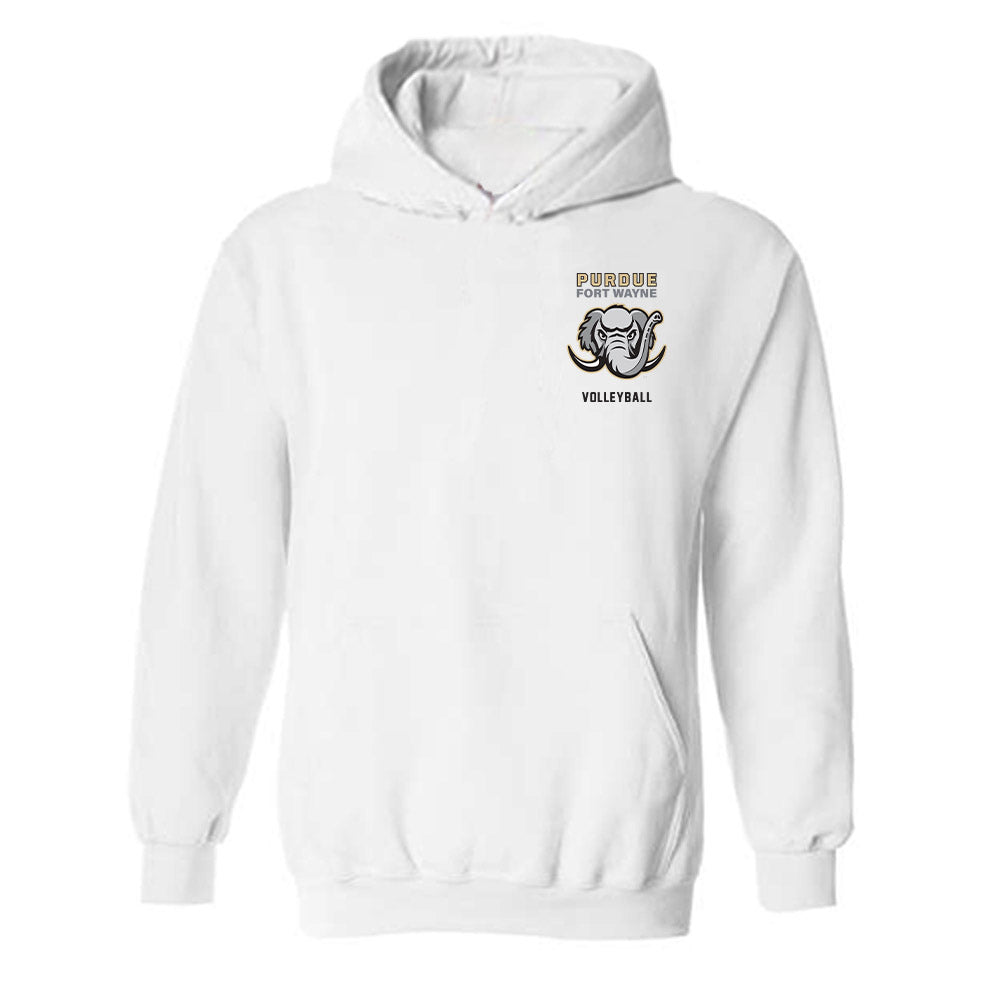 PFW - NCAA Men's Volleyball : Owen Banner - Classic Shersey Hooded Sweatshirt-0