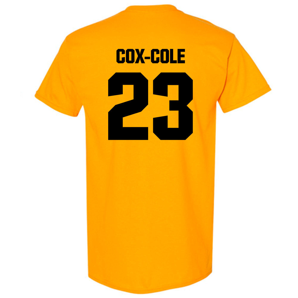 Alabama State - NCAA Softball : Arianna Cox-Cole - Classic Shersey T-Shirt-1