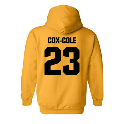 Alabama State - NCAA Softball : Arianna Cox-Cole - Classic Shersey Hooded Sweatshirt-1