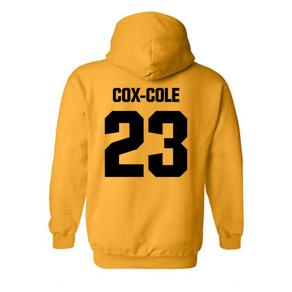 Alabama State - NCAA Softball : Arianna Cox-Cole - Classic Shersey Hooded Sweatshirt-1