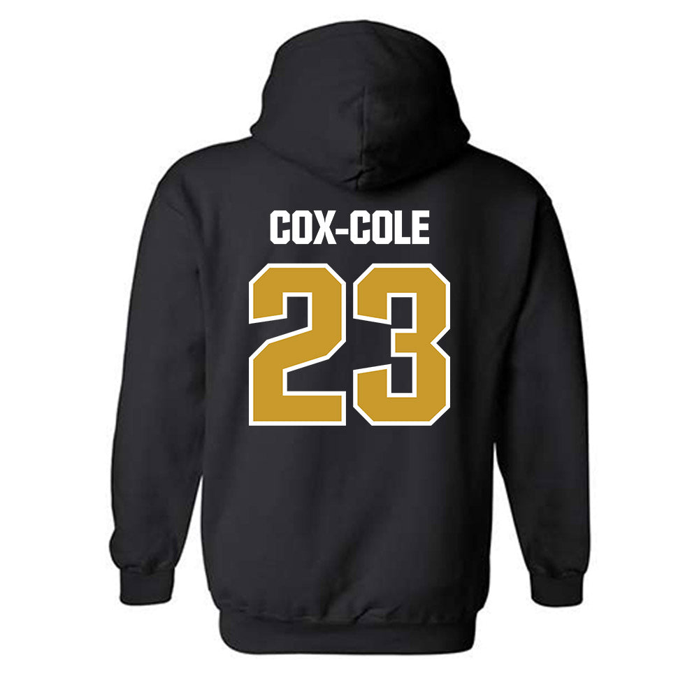 Alabama State - NCAA Softball : Arianna Cox-Cole - Classic Shersey Hooded Sweatshirt-1