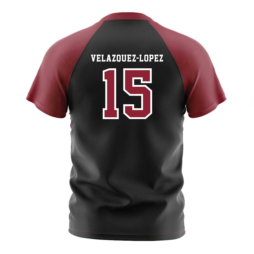 South Carolina - NCAA Men's Soccer : Alejandro Velazquez-Lopez - Black Soccer Jersey-1