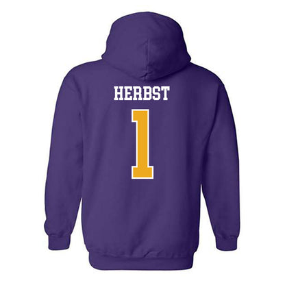 Albany - NCAA Baseball : Aaron Herbst - Classic Shersey Hooded Sweatshirt-1