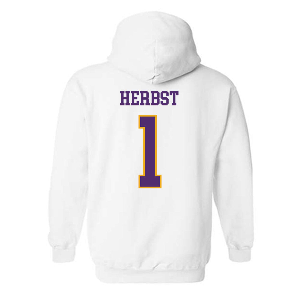 Albany - NCAA Baseball : Aaron Herbst - Classic Shersey Hooded Sweatshirt-1
