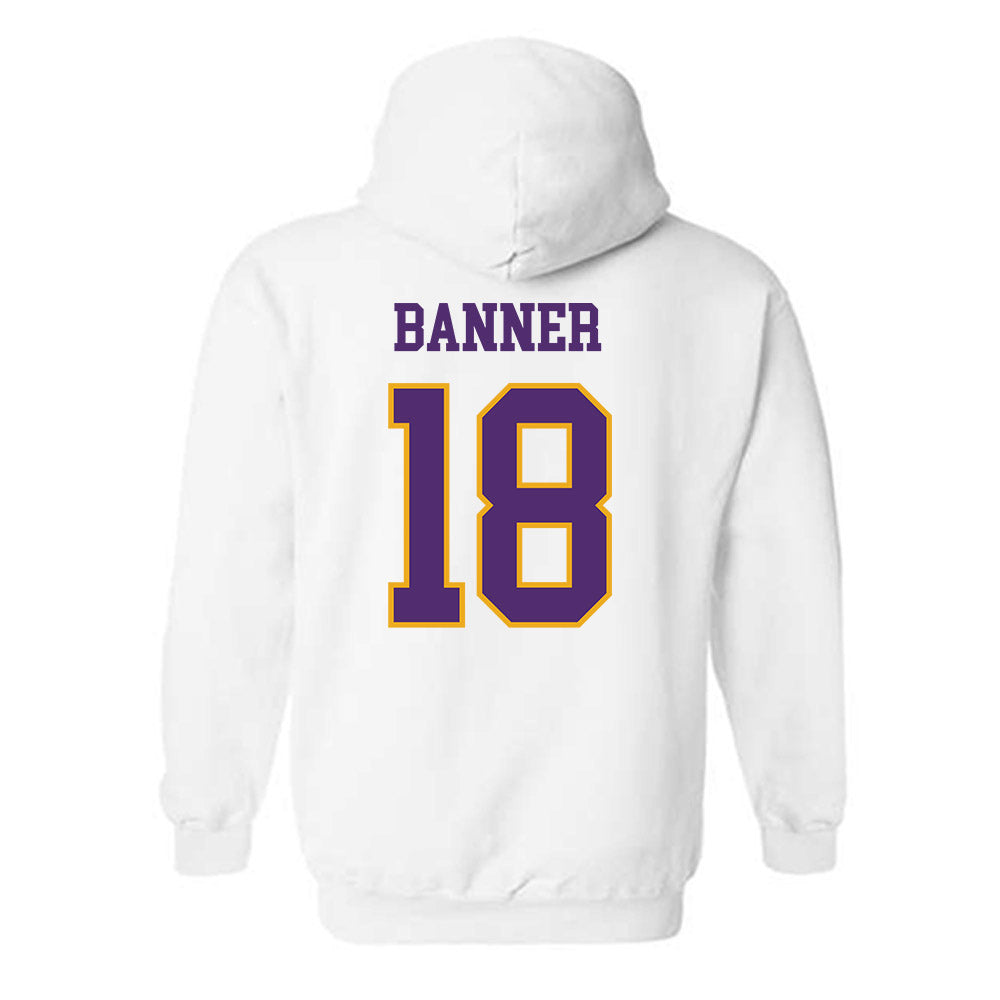 Albany - NCAA Baseball : Dylan banner - Classic Shersey Hooded Sweatshirt-1