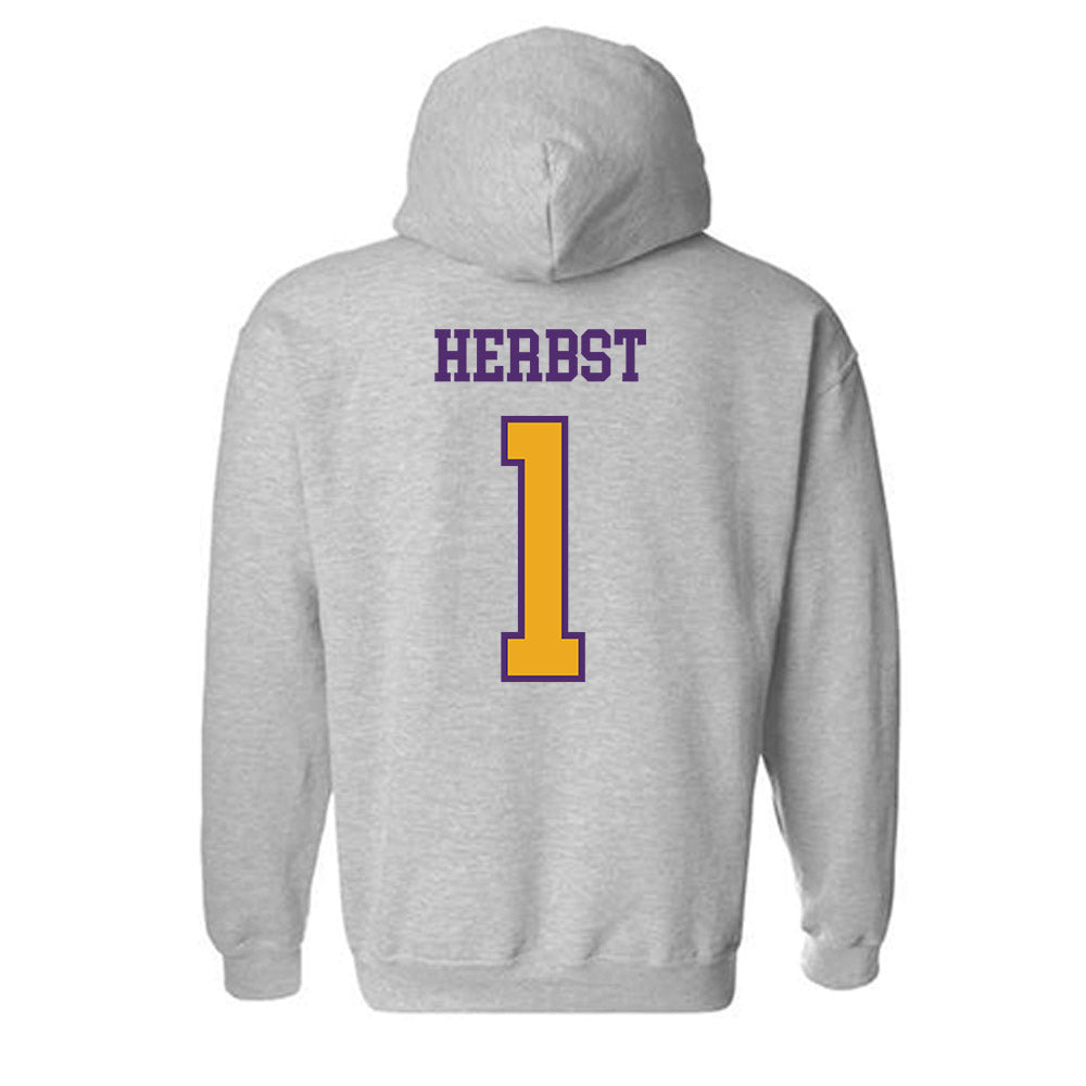 Albany - NCAA Baseball : Aaron Herbst - Classic Shersey Hooded Sweatshirt-1