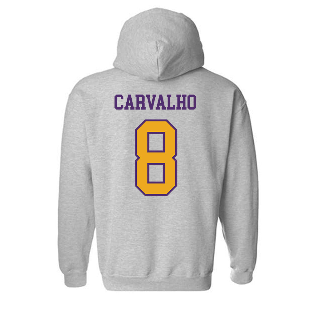Albany - NCAA Women's Volleyball : Sthefany Carvalho - Classic Shersey Hooded Sweatshirt-1