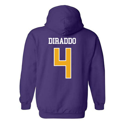 Albany - NCAA Women's Soccer : Julia DiRaddo - Classic Shersey Hooded Sweatshirt-1