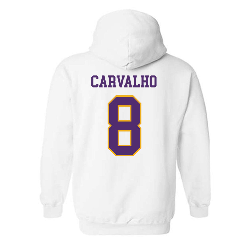 Albany - NCAA Women's Volleyball : Sthefany Carvalho - Classic Shersey Hooded Sweatshirt-1