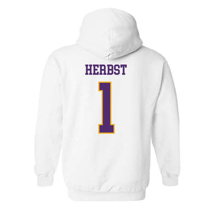 Albany - NCAA Baseball : Aaron Herbst - Classic Shersey Hooded Sweatshirt-1