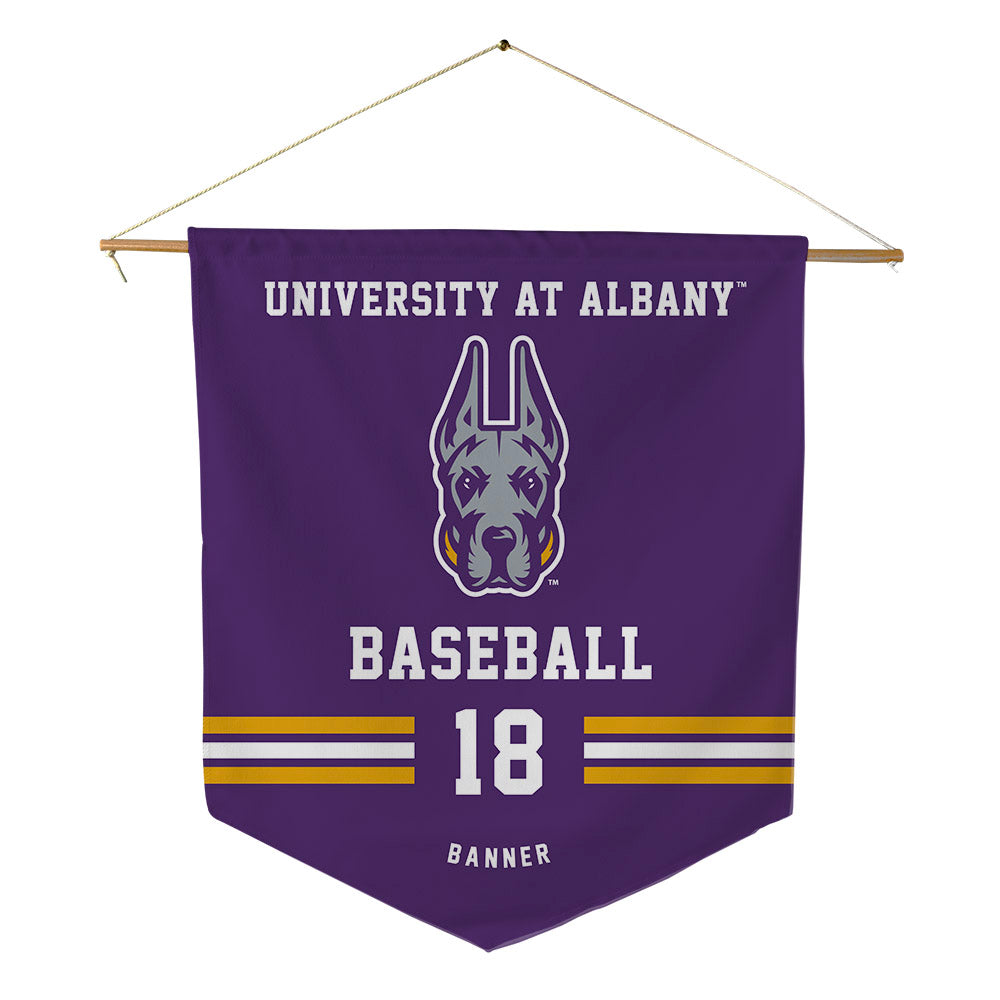 Albany - NCAA Baseball : Dylan banner - Pennant - 18" x 21"-0