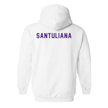LSU - NCAA Women's Swimming & Diving : Nicole Santuliana - Classic Shersey Hooded Sweatshirt-1