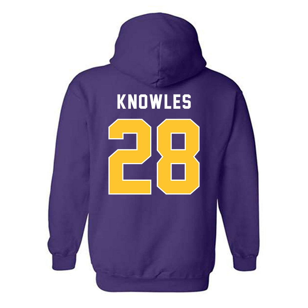 LSU - NCAA Women's Soccer : Brielyn Knowles - Classic Shersey Hooded Sweatshirt-1