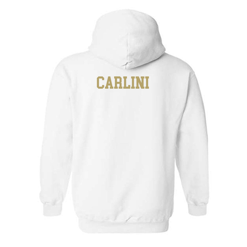 Georgia Tech - NCAA Men's Tennis : Gianluca Carlini - Classic Shersey Hooded Sweatshirt-1
