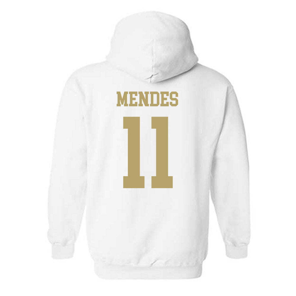 Georgia Tech - NCAA Women's Volleyball : Larissa Mendes - Classic Shersey Hooded Sweatshirt-1